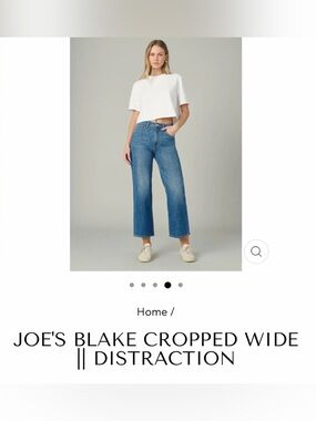 Joe's Jeans Blake Cropped Wide Leg Size 27
